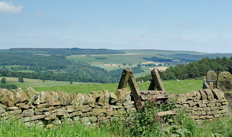 Harland Edge Harland Edge